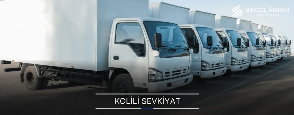 Bingöl Kolili Sevkiyat Ambar Firmaları