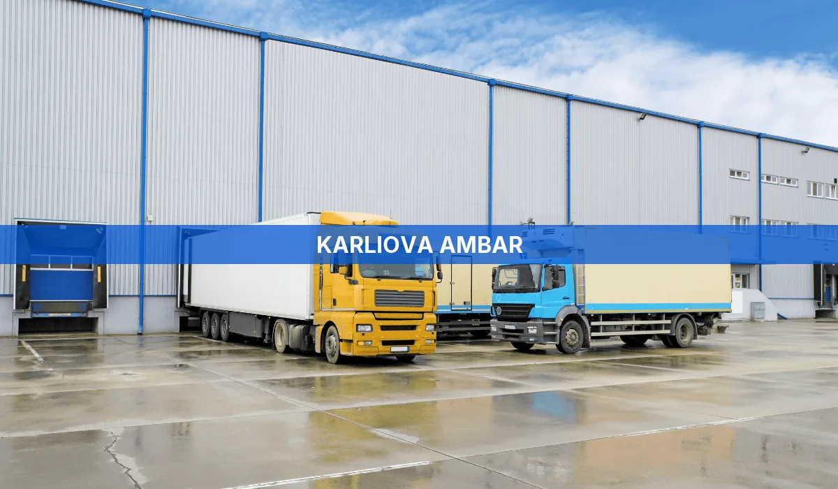 Karlıova Ambar