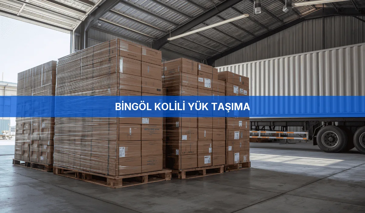 Bingöl Kolili Yük Taşıma
